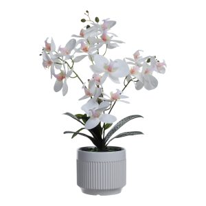 Orquidea decorativo Blanca